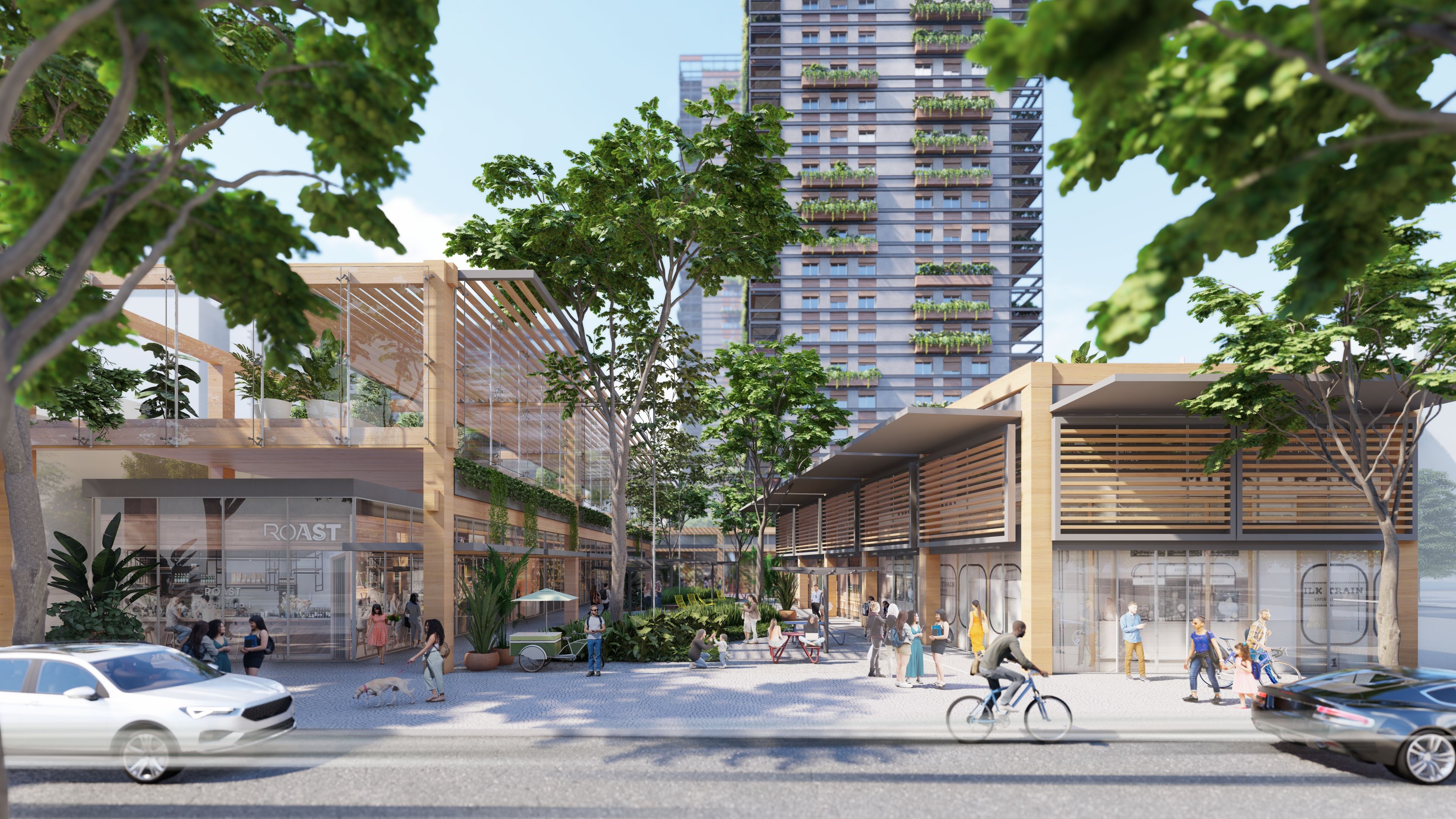 USO MISTO PINHEIROS 01.jpg