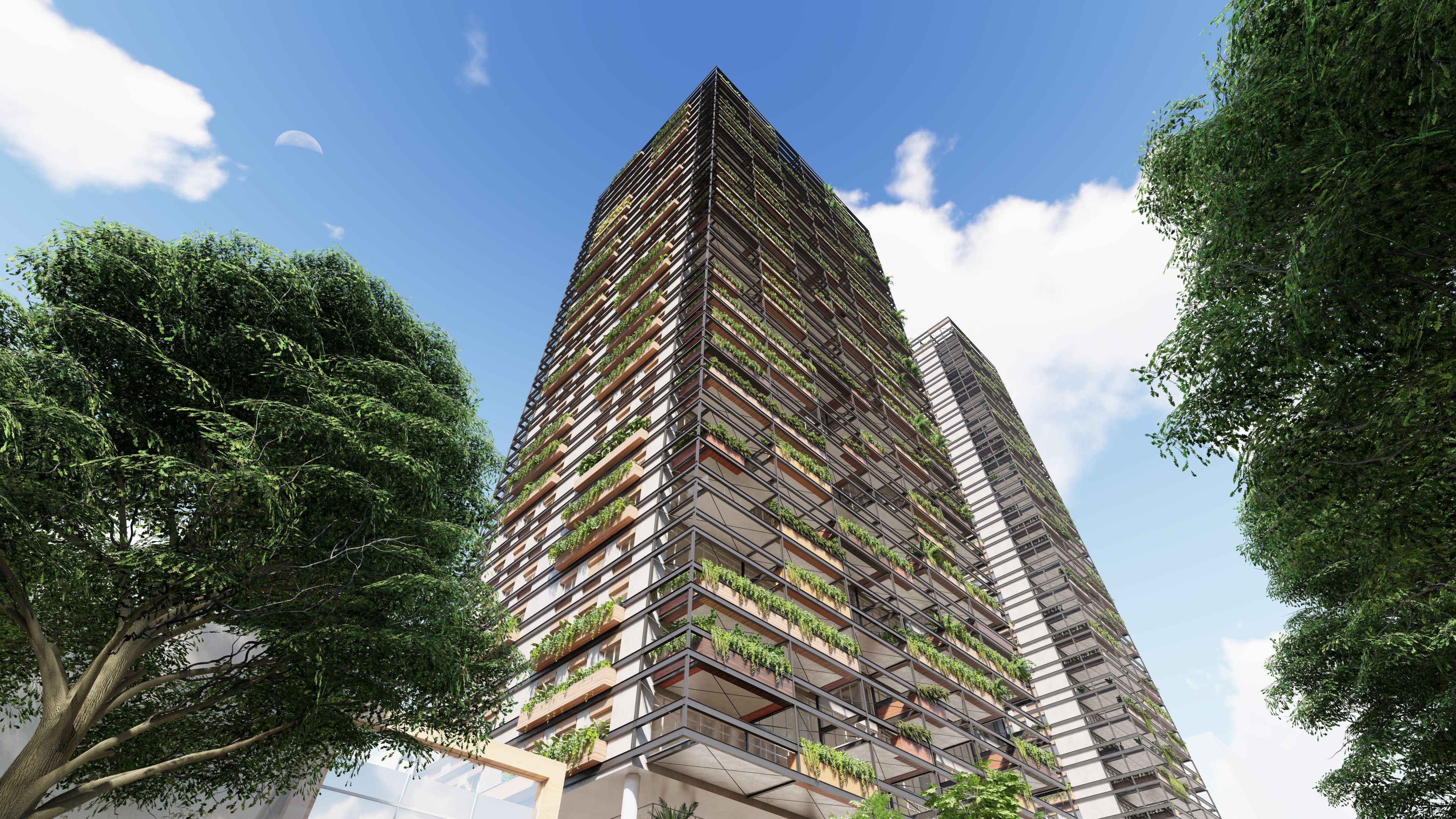 USO MISTO PINHEIROS 02.jpg